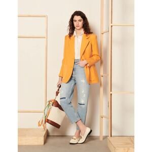 SANDRO PARIS Hisae Oversized 2-Button Blazer Jacket Nordstrom 36 4 S M $575